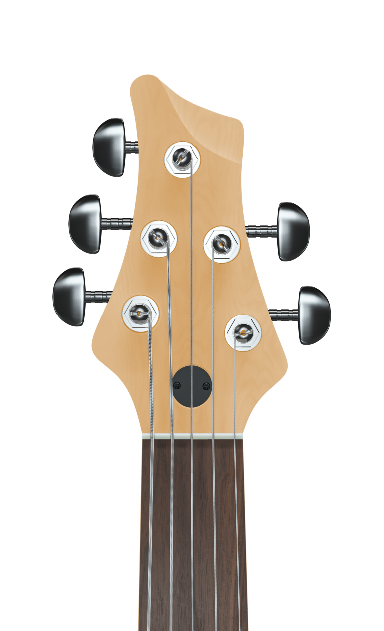 An acoustic guitar head with tuning pegs