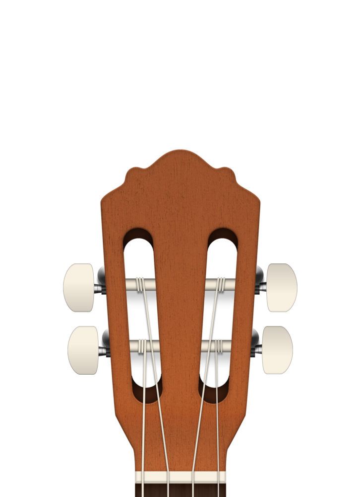 cavaquinho headstock with tuning pegs